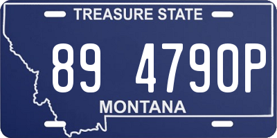 MT license plate 894790P