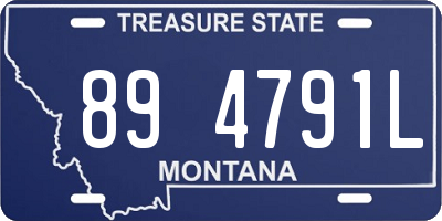 MT license plate 894791L