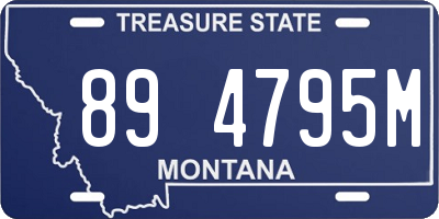 MT license plate 894795M