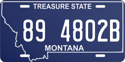 MT license plate 894802B