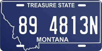 MT license plate 894813N