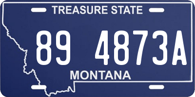 MT license plate 894873A