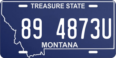 MT license plate 894873U