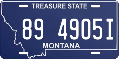 MT license plate 894905I