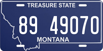 MT license plate 894907O