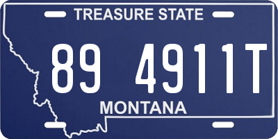 MT license plate 894911T