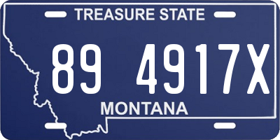 MT license plate 894917X