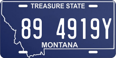 MT license plate 894919Y