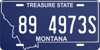 MT license plate 894973S