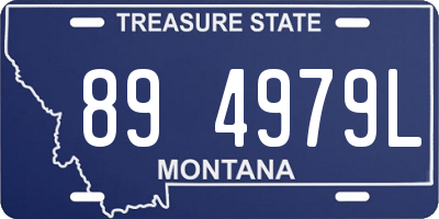 MT license plate 894979L