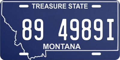 MT license plate 894989I