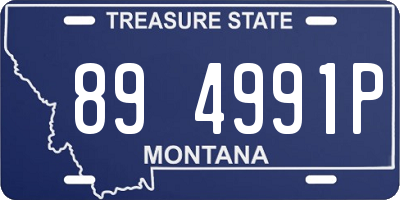 MT license plate 894991P