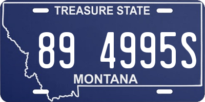 MT license plate 894995S
