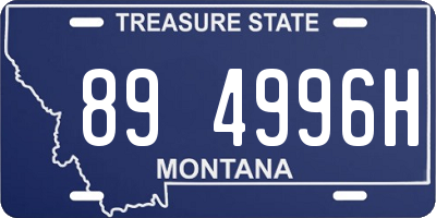 MT license plate 894996H