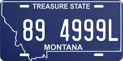 MT license plate 894999L