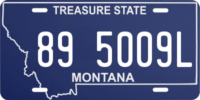 MT license plate 895009L