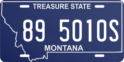 MT license plate 895010S