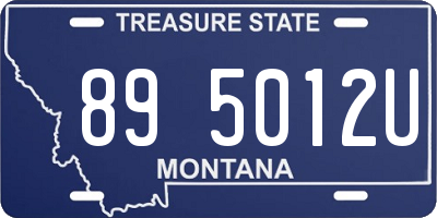 MT license plate 895012U