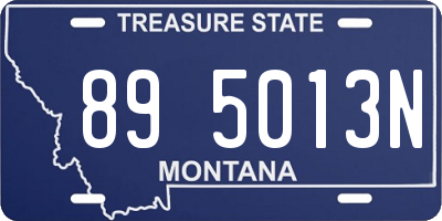 MT license plate 895013N