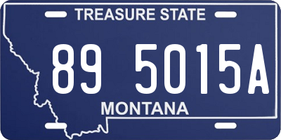MT license plate 895015A