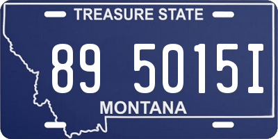 MT license plate 895015I