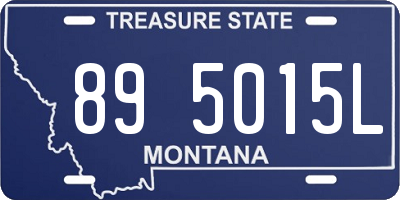 MT license plate 895015L