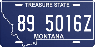 MT license plate 895016Z