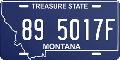 MT license plate 895017F