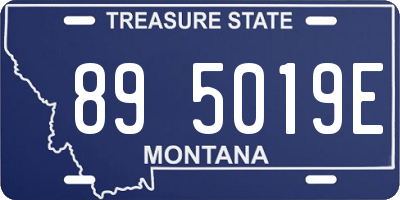 MT license plate 895019E