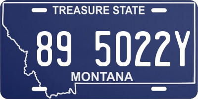 MT license plate 895022Y