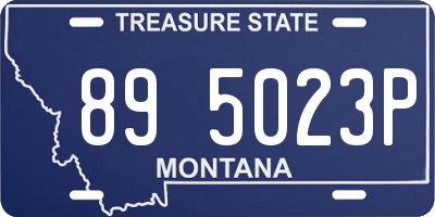 MT license plate 895023P