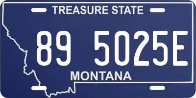 MT license plate 895025E