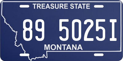 MT license plate 895025I