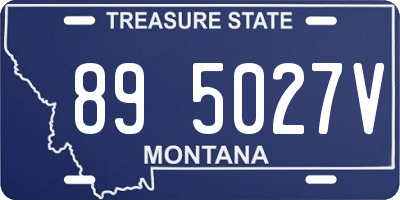 MT license plate 895027V