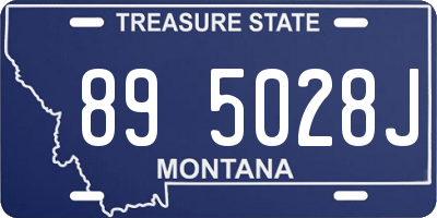 MT license plate 895028J