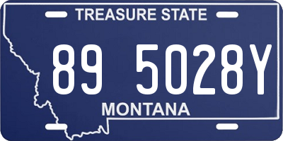 MT license plate 895028Y