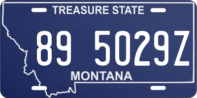 MT license plate 895029Z