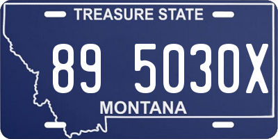 MT license plate 895030X