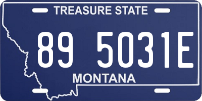 MT license plate 895031E