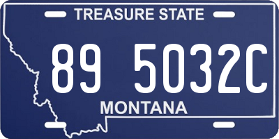 MT license plate 895032C