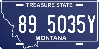 MT license plate 895035Y