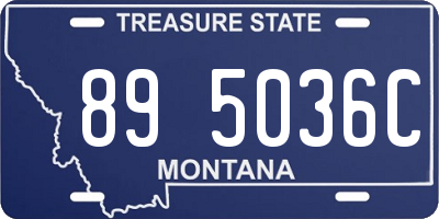 MT license plate 895036C