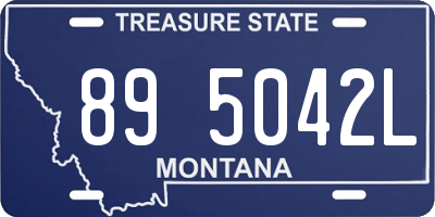 MT license plate 895042L