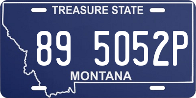 MT license plate 895052P