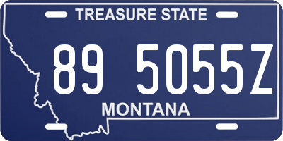 MT license plate 895055Z