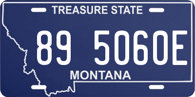 MT license plate 895060E