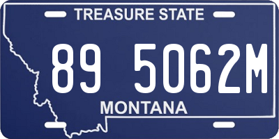 MT license plate 895062M