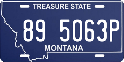 MT license plate 895063P