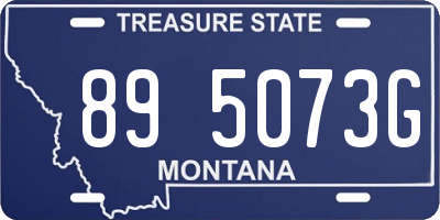 MT license plate 895073G
