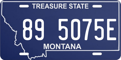 MT license plate 895075E